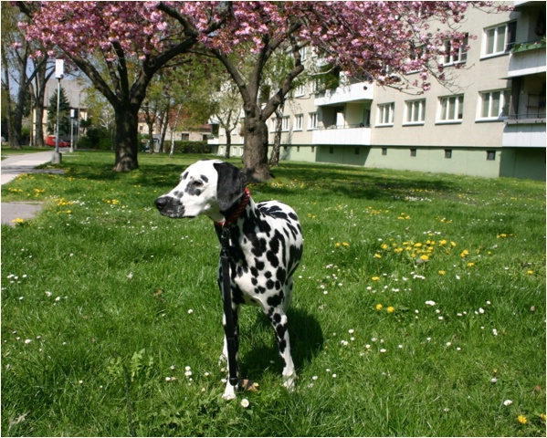 <b>was sagst du? weil endlich Fr�hling ist?<b>